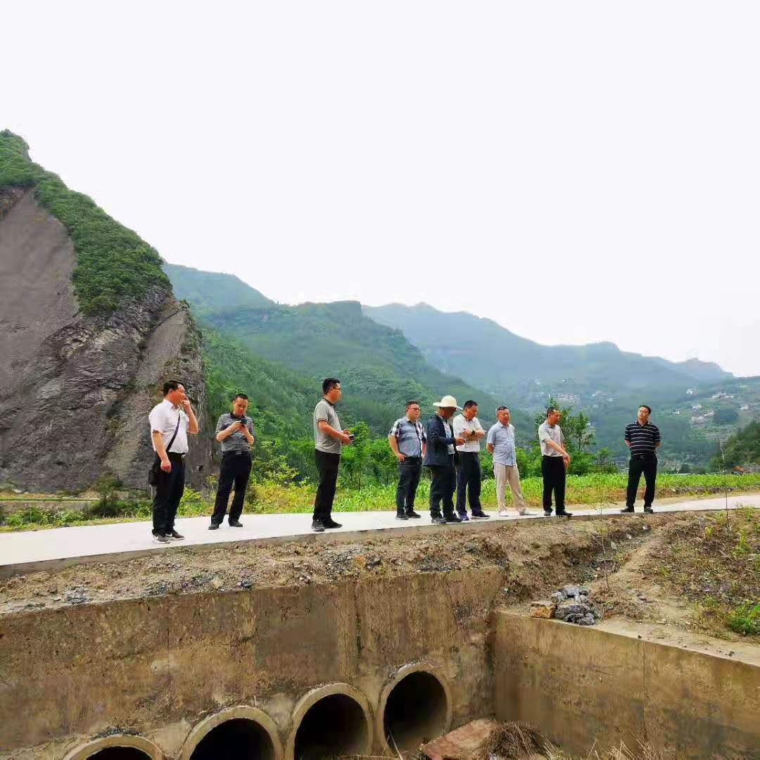 旺苍县废弃露天矿山生态修复项目顺利通过终验