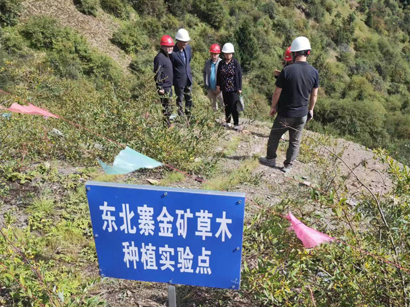 东北寨金矿项目部开展开钻前安全环保联合检查